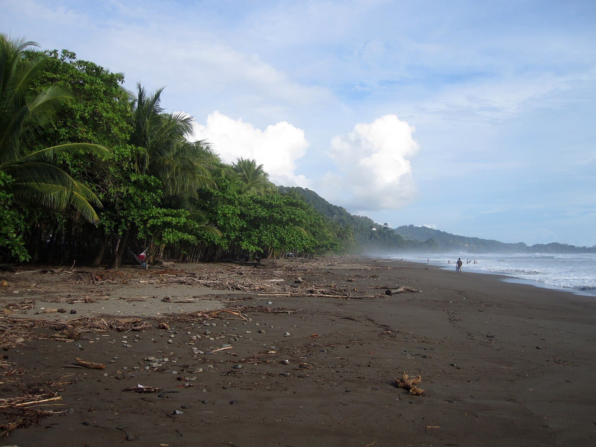 Playa Dominical — jungle meeting the surf beach — Dominical, Costa Rica