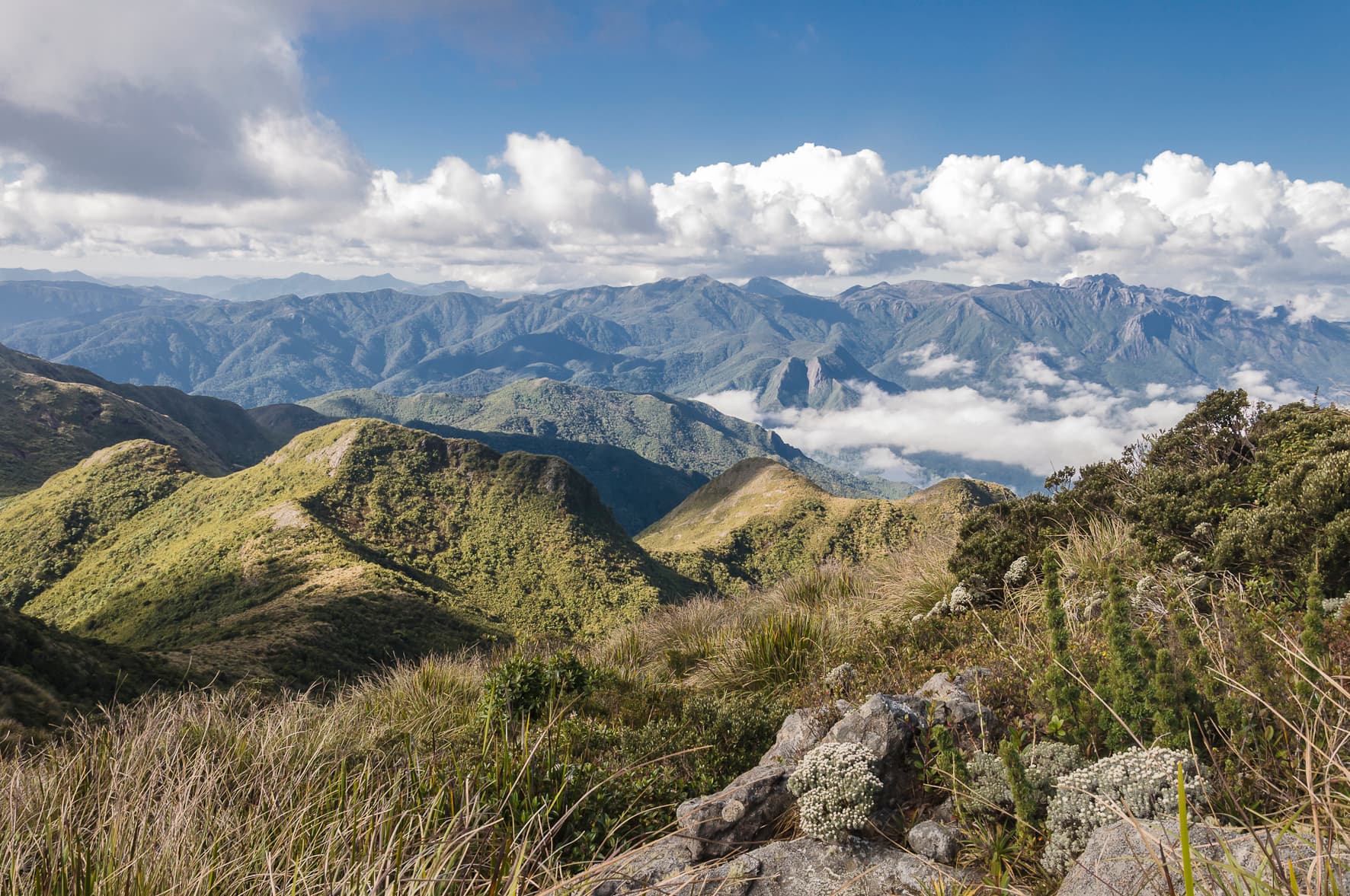 The mountains of the Serra da Mantiqueira — Brazil