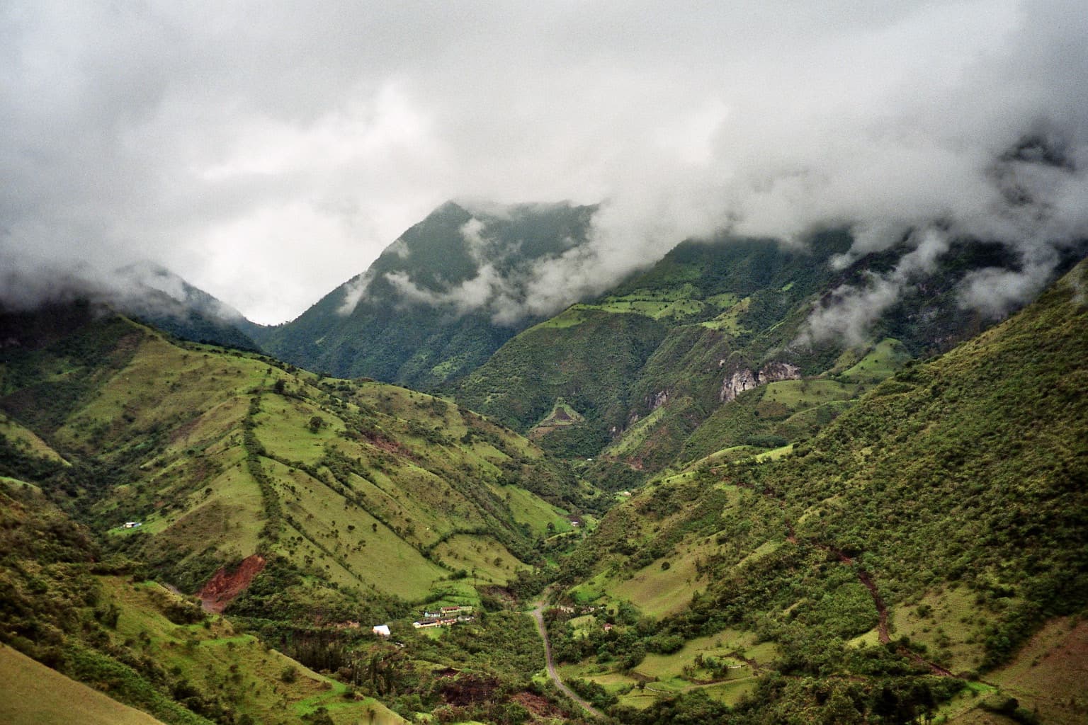 The cloud forest around the village — Mindo, Ecuador