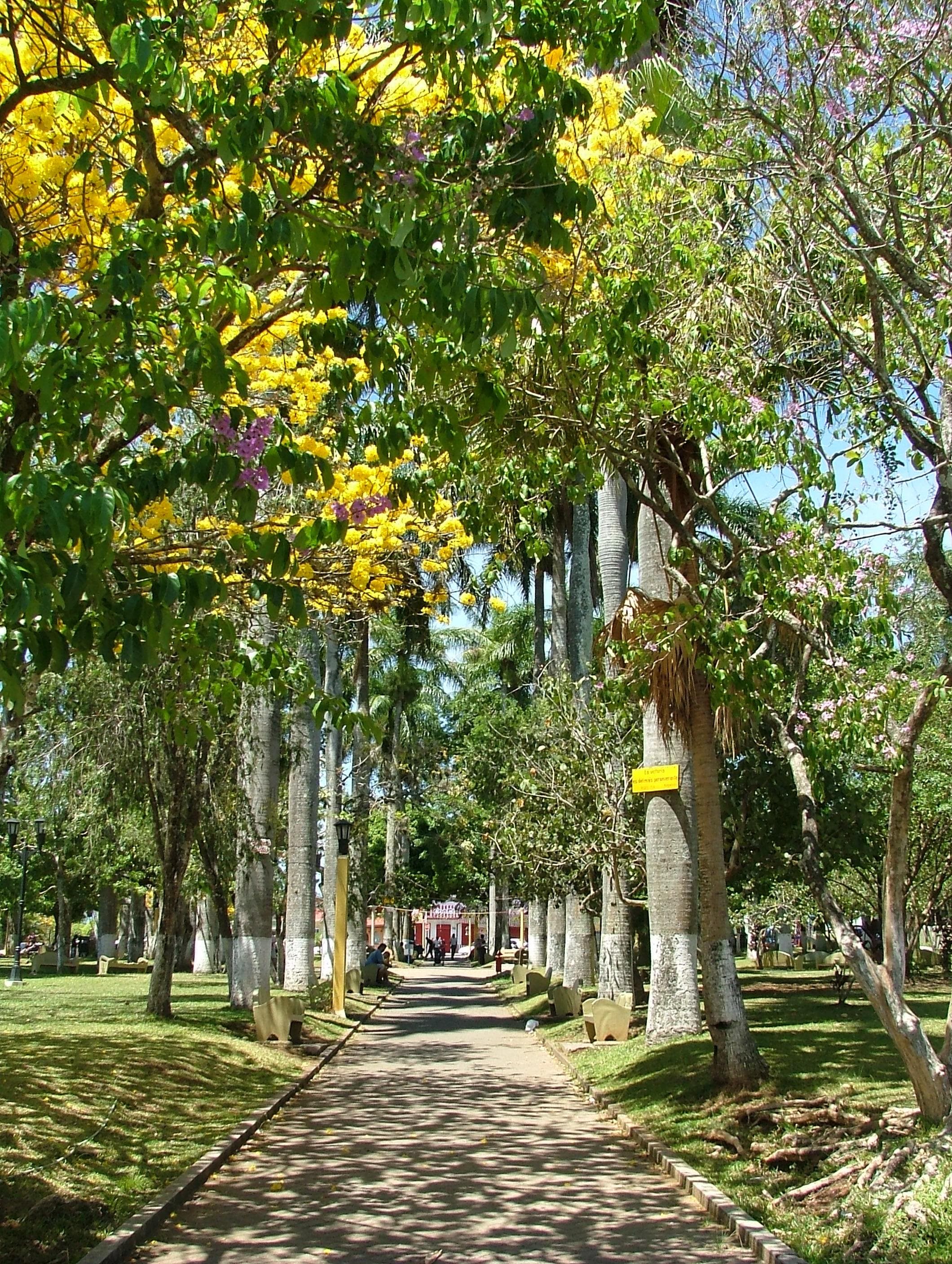Parque Atenas, the central town square — Atenas, Costa Rica