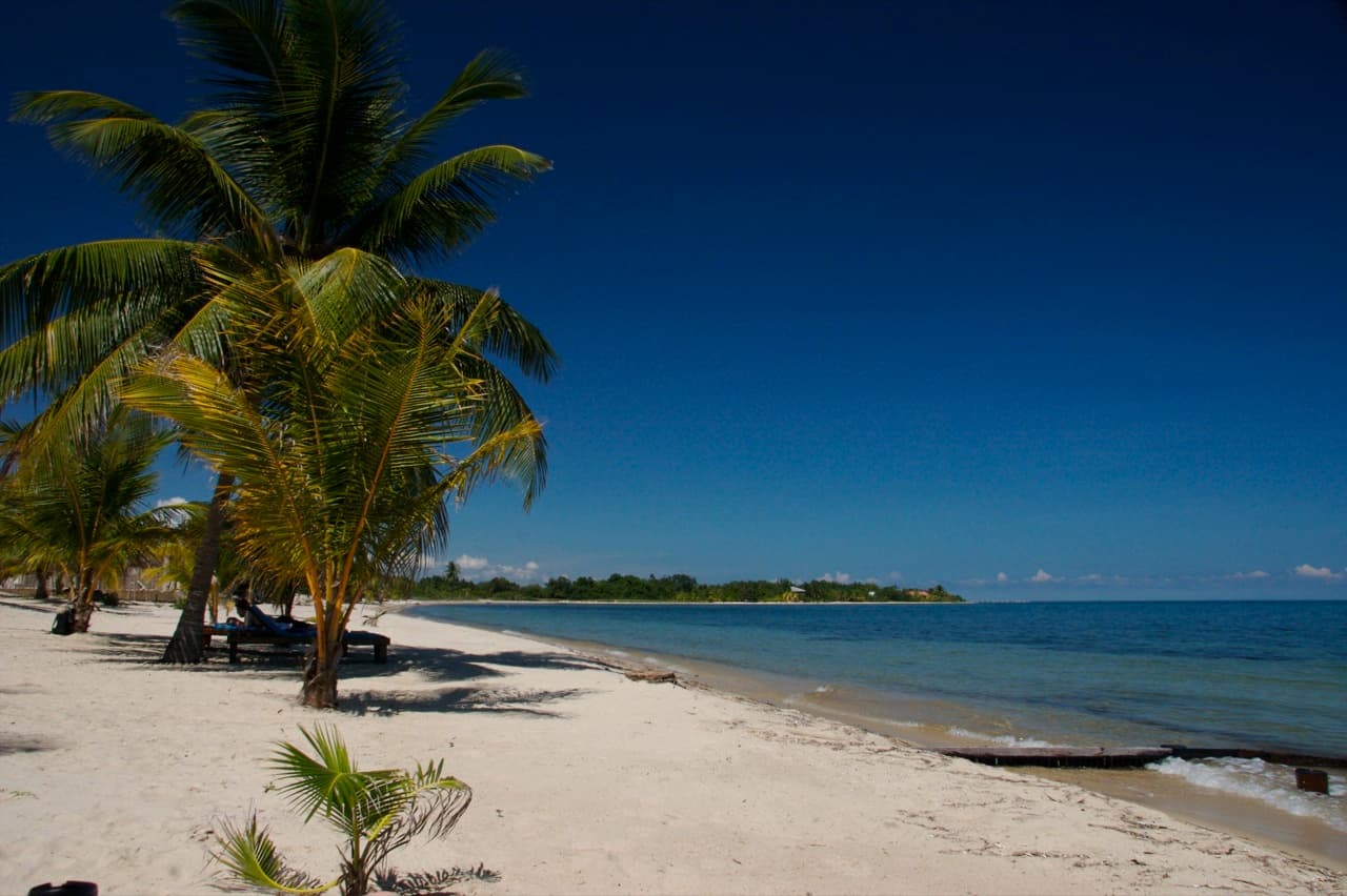 Palm-lined beachfront — Placencia, Belize