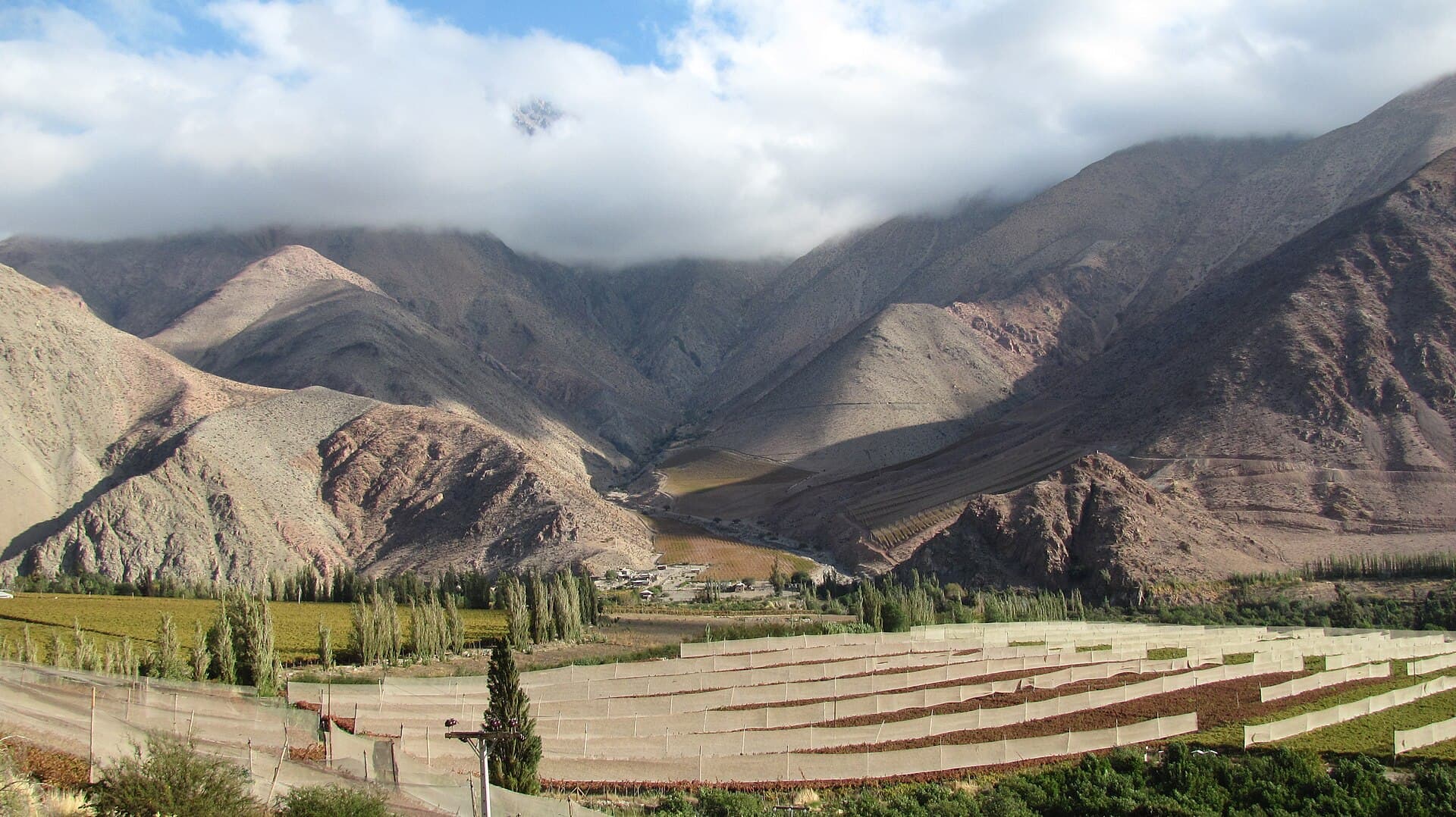 The Elqui Valley — Pisco Elqui, Chile